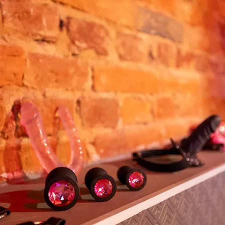 Apartament Bdsm Grey Manufaktura Centrum Miasta Legionów 18 Parking Na Terenie , Dla Dorosłych Adults Only