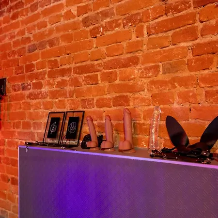 Apartament Bdsm Grey Manufaktura Centrum Miasta Legionów 18 Parking Na Terenie , Dla Dorosłych Adults Only *