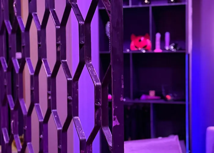 Bdsm Grey Manufaktura Centrum Miasta Legionów 18 Parking Na Terenie , Dla Dorosłych Adults Only Apartamento